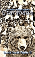 Chronicles of the Imagination: Staranana 0692553509 Book Cover