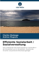 Effiziente Sozialarbeit / Sozialverwaltung 6630261496 Book Cover