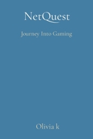 NetQuest: Journey Into Gaming 8196809875 Book Cover