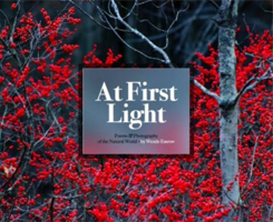 At First Light:: Poems  Photography 1942483422 Book Cover