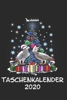 Taschenkalender 2020: Taschenkalender f�r Sept. 2019 bis Dezember 2020 A5 Terminplaner Wochenplaner Terminkalender Wochenkalender Organizer mit Graupapagei Papagei und Weihnachten Weihnachtsgeschenk T 169835312X Book Cover