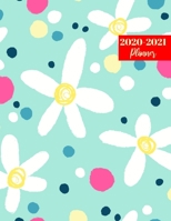 2020-2021 Planner: Nice 2 Year Calendar 2020-2021 Daily, Weekly & Monthly 24 Months Agenda Personal Appointment 1695824725 Book Cover