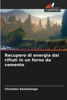 Recupero di energia dai rifiuti in un forno da cemento 6206227529 Book Cover