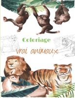 Coloriage vrai animaux: D'Incroyables Animaux - Pour La Relaxation, Meditation, Soulagement Du Stress, Calme Et Guerison B088BHTTNJ Book Cover