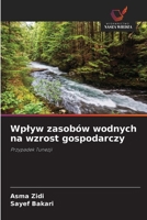 Wplyw zasobów wodnych na wzrost gospodarczy (Polish Edition) 6208563801 Book Cover