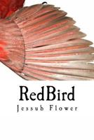 RedBird (The Jordy Nichols Trilogy Book 1) 1523482729 Book Cover
