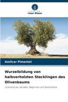 Wurzelbildung von halbverholzten Stecklingen des Olivenbaums 6209116914 Book Cover