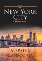 New York: In Small Spaces 1796094579 Book Cover