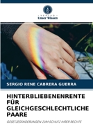 HINTERBLIEBENENRENTE FÜR GLEICHGESCHLECHTLICHE PAARE: GESETZESÄNDERUNGEN ZUM SCHUTZ IHRER RECHTE 620405533X Book Cover