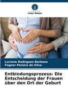 Entbindungsprozess: Die Entscheidung der Frauen über den Ort der Geburt (German Edition) 6208146283 Book Cover