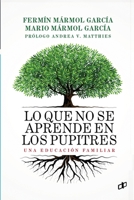 Lo que no se aprende en los pupitres: Una educación familiar (Spanish Edition) 980425039X Book Cover