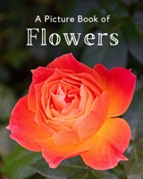 A Picture Book of Flowers: A Beautiful Picture Book for Seniors With Alzheimer’s or Dementia. A Great Gift for Elderly Parent and Grandparents B08L7JWC8P Book Cover
