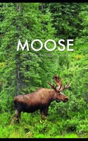 Moose Note Monthly 2020 Planner 12 Month Calendar 1706531397 Book Cover