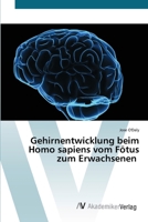 Hersenontwikkeling in Homo sapiens van foetus tot volwassene 6200547440 Book Cover