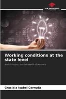 Working conditions at the state level 6206403866 Book Cover