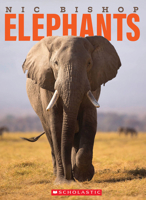 Nic Bishop Elephants 0545605806 Book Cover