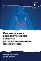 Клинические и терапевтические аспекты ре 6204123602 Book Cover