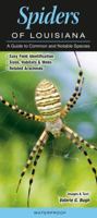 Spiders of Louisiana: A Guide to Common and Notable Species 1943334625 Book Cover