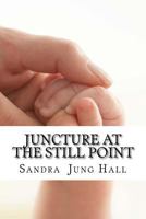 Juncture at the Still Point: A Mother's Journey in Grief, Growth and Hope 0972311211 Book Cover