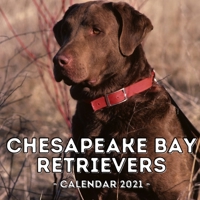 Chesapeake Bay Retrievers Calendar 2021: 16-Month Calendar, Cute Gift Idea For Retriever Lovers Women & Men B096LMSRHZ Book Cover