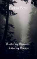 Derailed by Daydreams, Guided by Delusions 9371565837 Book Cover