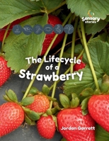 The Lifecycle of a Strawberry: A Sensory Story (Sensory Curriculum Sensory Stories) B0DPX8CSPY Book Cover