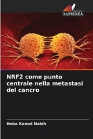 NRF2 come punto centrale nella metastasi del cancro 6205843684 Book Cover