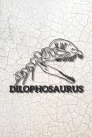 Eikland - Notes: Dinosaurier Dilophosaurus Sch�del - Notizbuch 15,24 x 22,86 kariert 1705854184 Book Cover