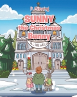 Sunny the Christmas Bunny B0FPGQZ6XJ Book Cover