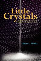 Little Crystals: A Low Sodium Journey Through the Salted Land 1460984935 Book Cover