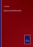 Spinoza und Schleiermacher 3375062664 Book Cover