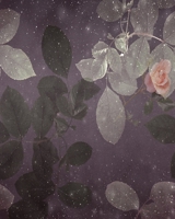 2020 January-December Weekly/Monthly Planner: Womens' Vintage Dark Grey Rose With Yearly Calendar Scheduler & Organizer-Pretty Contemporary Notebook 1670857360 Book Cover