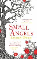 Small Angels: 'a Twisting Gothic Tale of Darkness, Intrigue, Heartbreak and Revenge' Jennifer Saint 1472280814 Book Cover