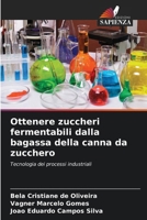 Ottenere zuccheri fermentabili dalla bagassa della canna da zucchero (Italian Edition) 6207613805 Book Cover
