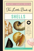 The Little Book of Shells: A Kid's Guide to Shells and the Amazing Mollusks Who Make Them 1638190070 Book Cover