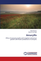 Amaryllis 3659493414 Book Cover