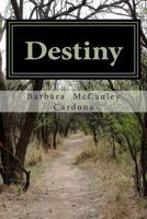 Destiny, a Medieval Romance 0615797431 Book Cover