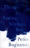 Things I'm Seeing Without You 0735228043 Book Cover
