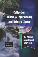 Collection: "Gnosis & Espiriencing" and "Being & Sense": The two books, plus unpublished work. English version. B0GWX4NDVD Book Cover