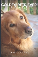 Golden retriever Lover Notebook: Cute fun golden retriever themed notebook: ideal gift for golden retriever lovers of all kinds: 120 page college ruled notebook 1087207738 Book Cover