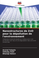 Nanostructures de ZnO pour la dépollution de l'environnement (French Edition) 6209583776 Book Cover