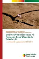 Dinâmica Socioeconômica no Núcleo de Desertificação de Gilbués - PI 620218437X Book Cover