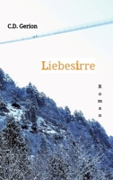 Liebesirre: Erotik, Eifersuchtsdrama 3384132645 Book Cover