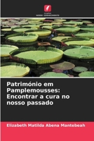 Patrim�nio em Pamplemousses: Encontrar a cura no nosso passado 6205740176 Book Cover