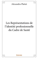 Les Représentations de l'identité professionnelle du Cadre de Santé (French Edition) 2334024104 Book Cover