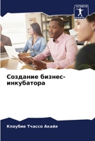 Создание бизнес-инкубатора 6206028402 Book Cover