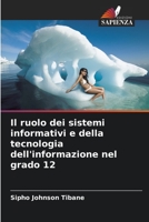 Il ruolo dei sistemi informativi e della tecnologia dell'informazione nel grado 12 (Italian Edition) 6206600483 Book Cover