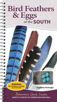 Bird Feathers & Eggs of the South: Identify 40 Species of Common Backyard Birds 164755666X Book Cover