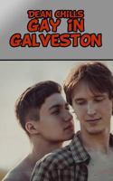 Gay in Galveston 1507889933 Book Cover