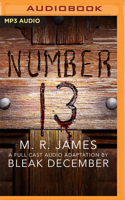 Number 13: A Full-Cast Audio Drama 1713647281 Book Cover